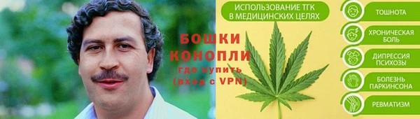 молекула духа Белоозёрский